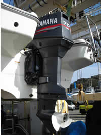 YAMAHA SRV20